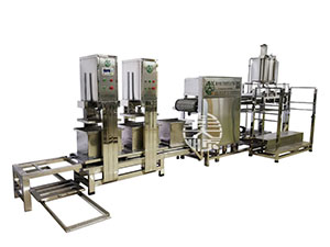 仿手工豆腐皮生產(chǎn)線