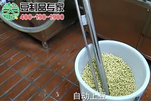 300型豆坊專用豆腐機工作現(xiàn)場