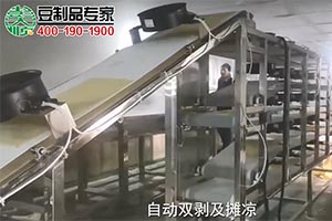 豆腐皮生產(chǎn)線+自動雙剝機(jī)+攤涼系統(tǒng)