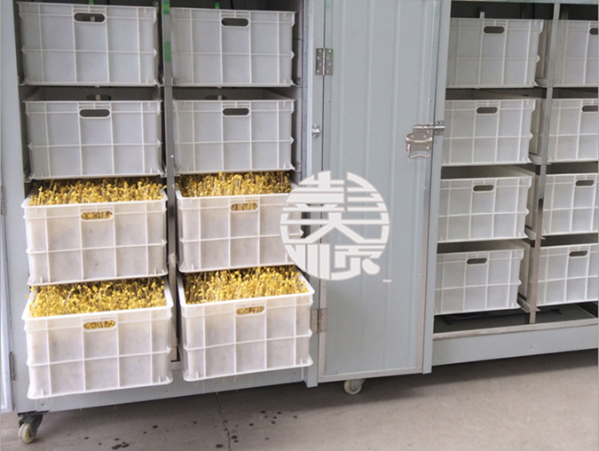 彭大順豆芽機器做出來的豆芽產(chǎn)品